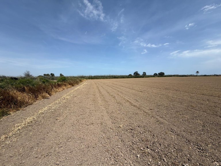 Plot for Sale in Dolores, Alicante 4