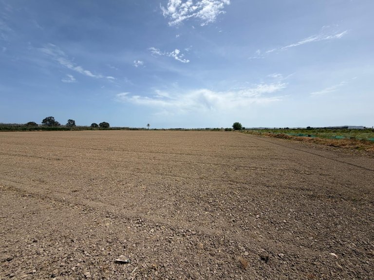 Plot for Sale in Dolores, Alicante 5