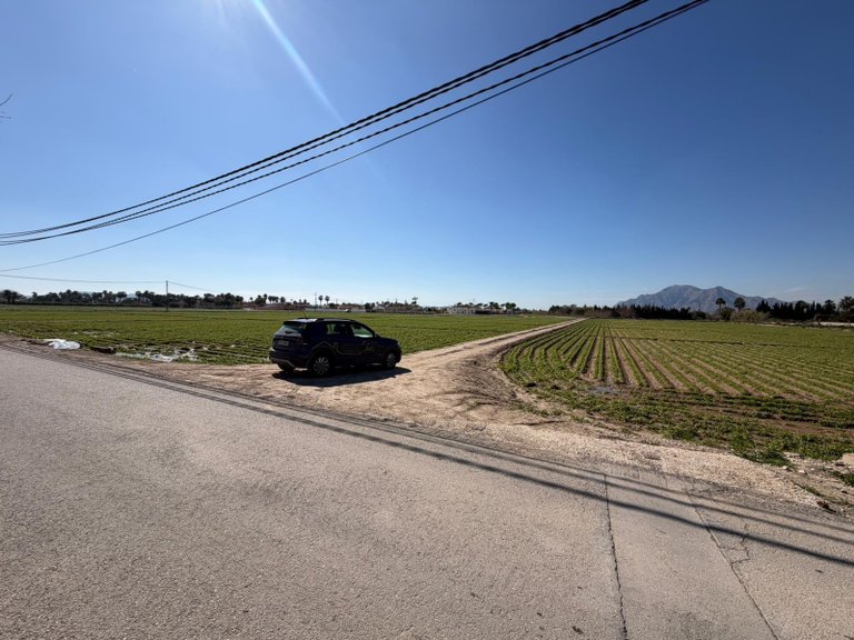 Plot for Sale in Catral, Alicante 2