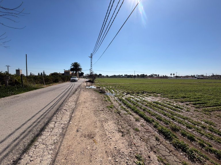 Plot for Sale in Catral, Alicante 3
