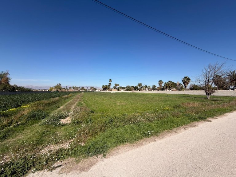 Plot for Sale in Catral, Alicante 2