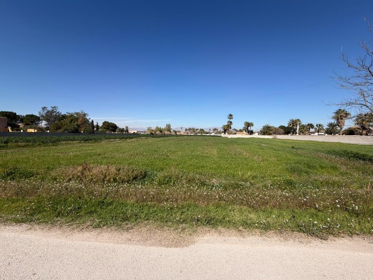 Plot for Sale in Catral, Alicante 5