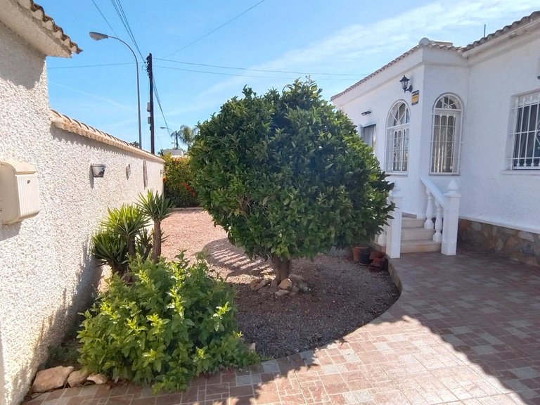 Villa for Sale in Torrevieja, Alicante 5