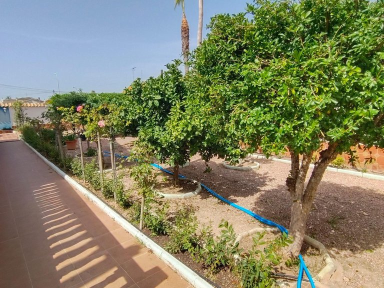 Villa for Sale in Torrevieja, Alicante 14
