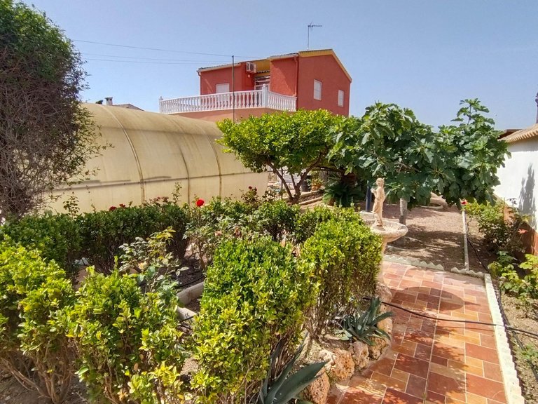 Villa for Sale in Torrevieja, Alicante 16