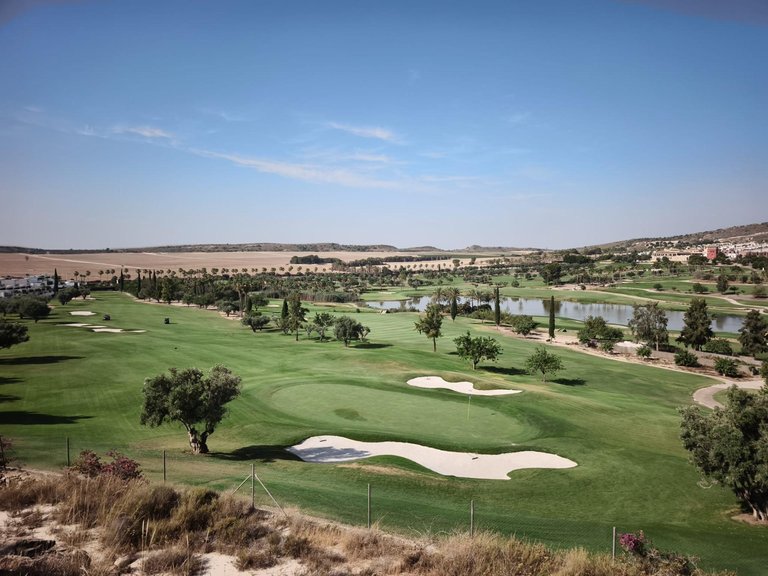Town House for Sale in Algorfa, Alicante 30