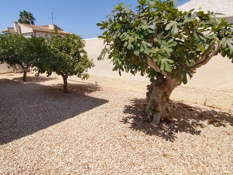 Villa for Sale in Torrevieja, Alicante 29