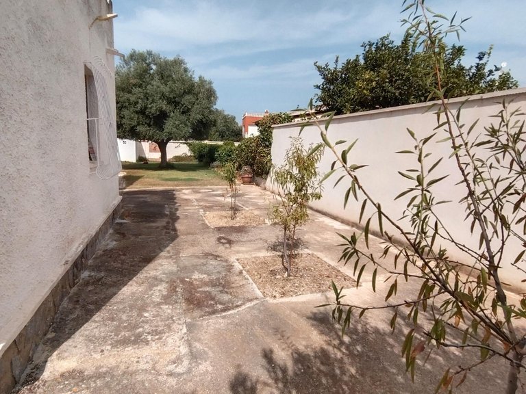 Villa for Sale in Torrevieja, Alicante 40