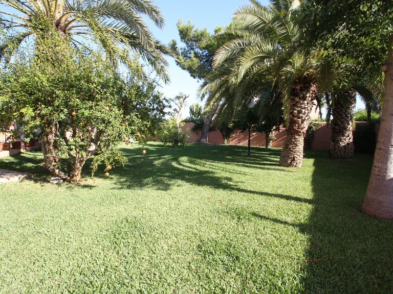 Villa for Sale in Torrevieja, Alicante 10