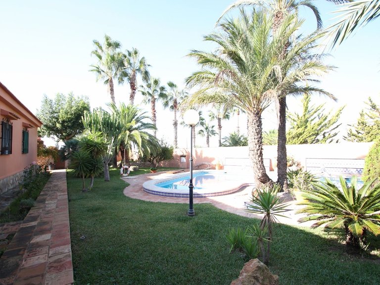 Villa for Sale in Torrevieja, Alicante 8