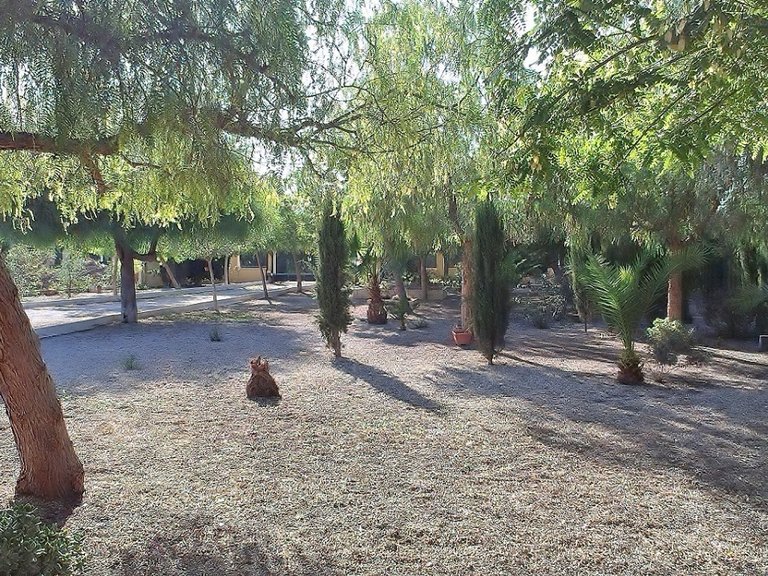 Country House for Sale in Orihuela, Alicante 24