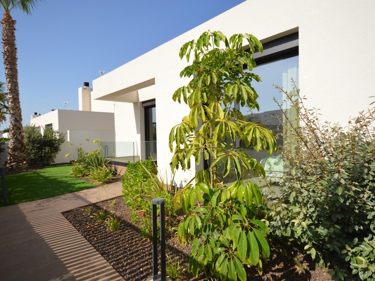 Villa for Sale in Inland Algorfa, Alicante 50