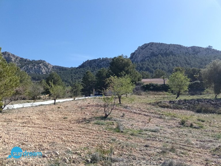 Villa for Sale in Inland Abanilla, Murcia 13