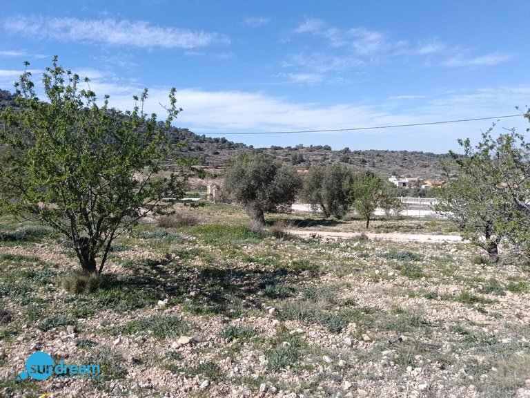 Villa for Sale in Inland Abanilla, Murcia 11