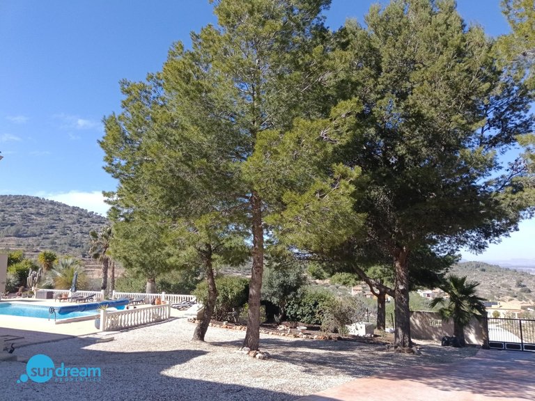 Villa for Sale in Inland Abanilla, Murcia 12