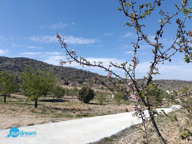 Villa for Sale in Inland Abanilla, Murcia 22