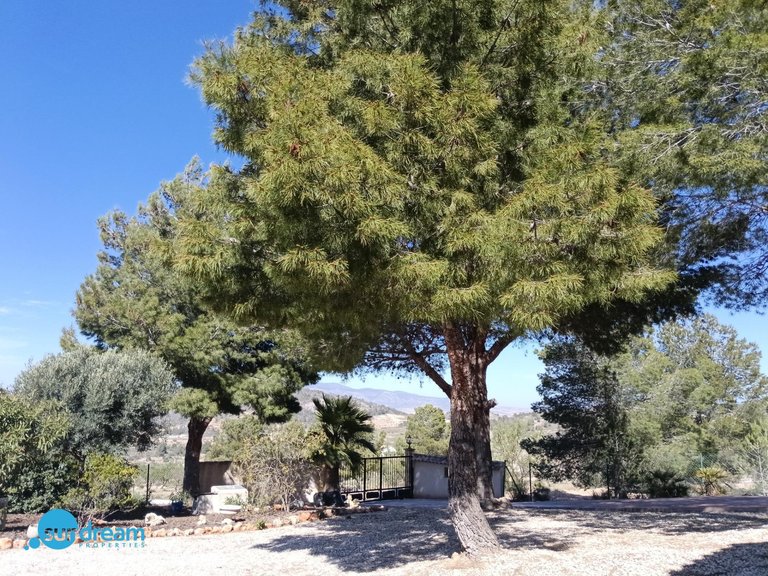 Villa for Sale in Inland Abanilla, Murcia 34