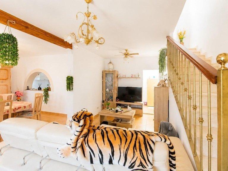 Villa for Sale in Algorfa, Alicante 6