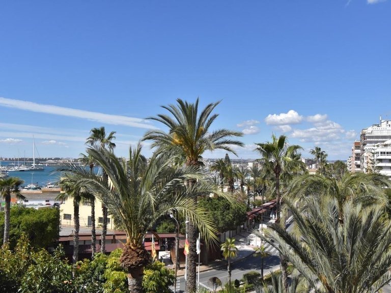 Apartment for Sale in Costa Blanca Torrevieja, Alicante 10
