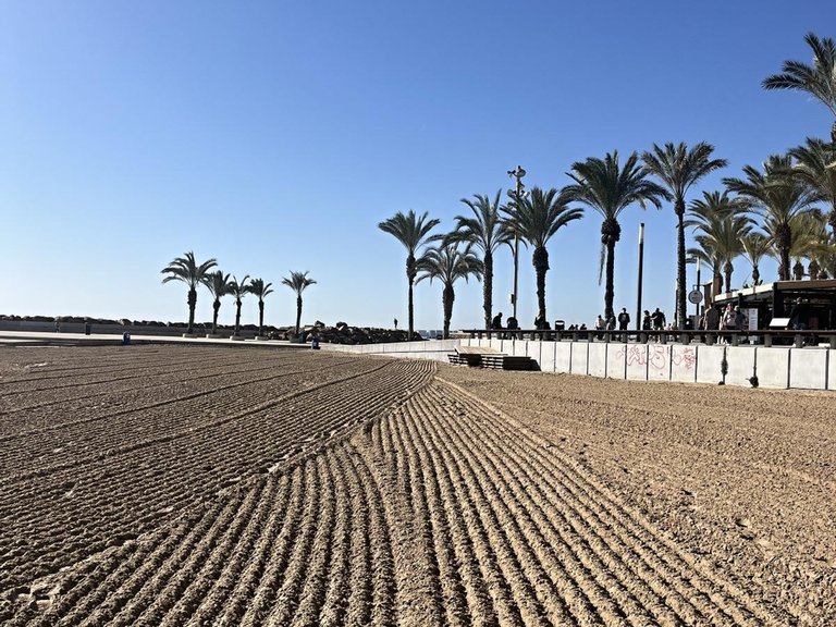 Apartment for Sale in Costa Blanca Torrevieja, Alicante 20