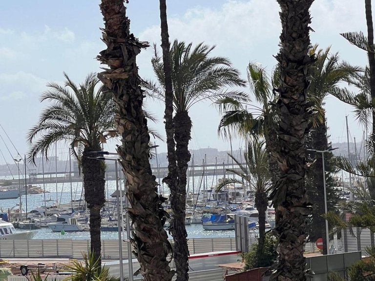 Apartment for Sale in Costa Blanca Torrevieja, Alicante 6