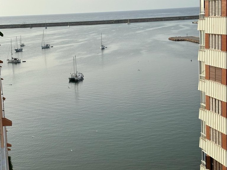 Penthouse for Sale in Costa Blanca Torrevieja, Alicante 17