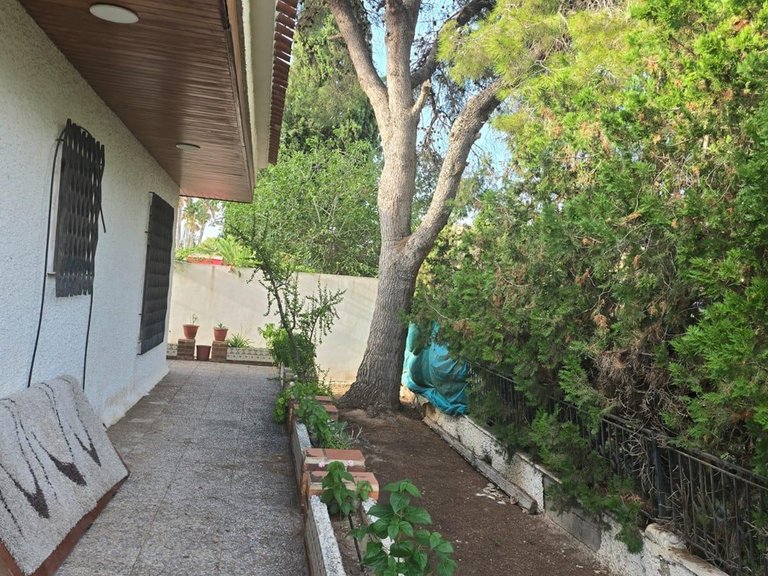 Villa for Sale in Costa Blanca Orihuela Costa, Alicante 7