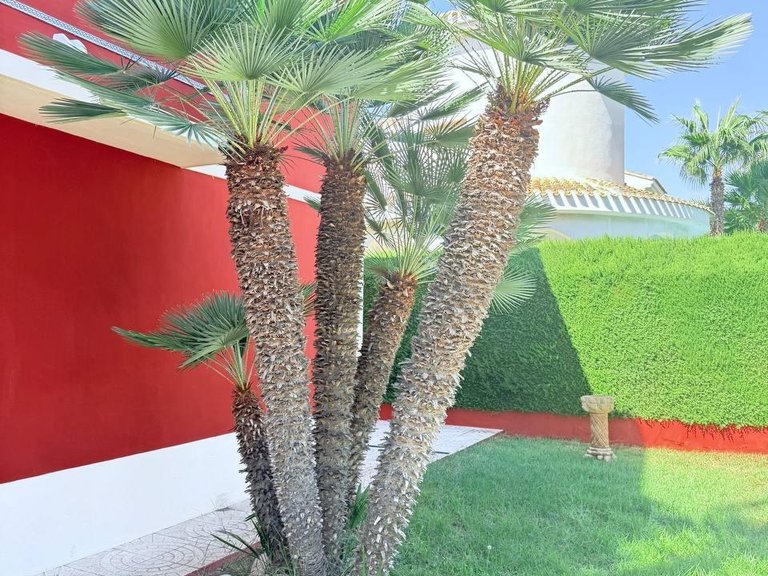 Villa for Sale in Costa Blanca Campoamor, Alicante 21