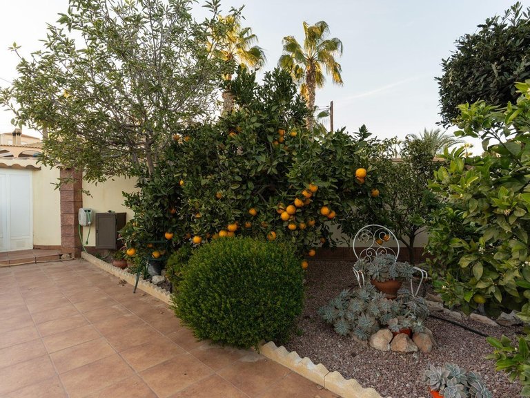 Villa for Sale in Costa Blanca Torrevieja, Alicante 11