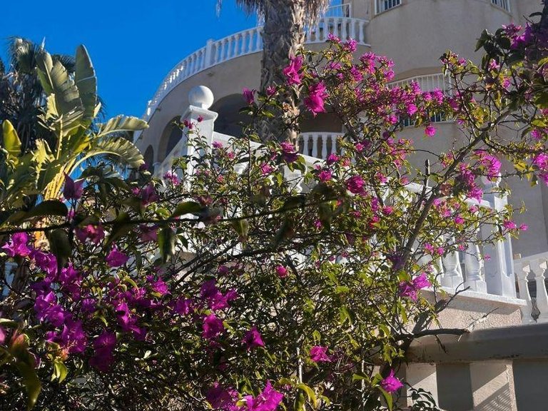 Villa for Sale in Inland Rojales, Alicante 11