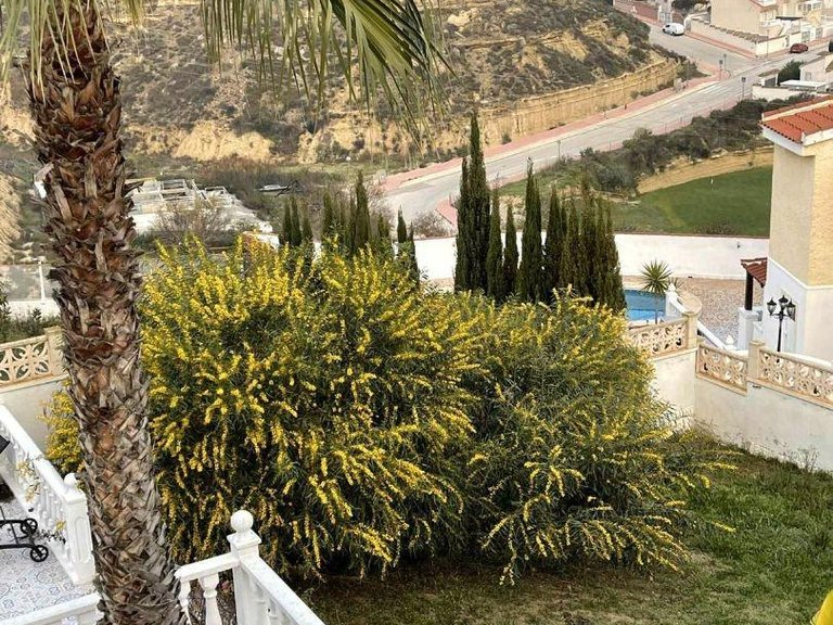 Villa for Sale in Inland Rojales, Alicante 33