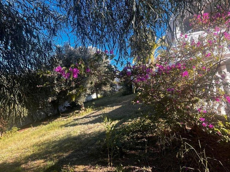 Villa for Sale in Inland Rojales, Alicante 48