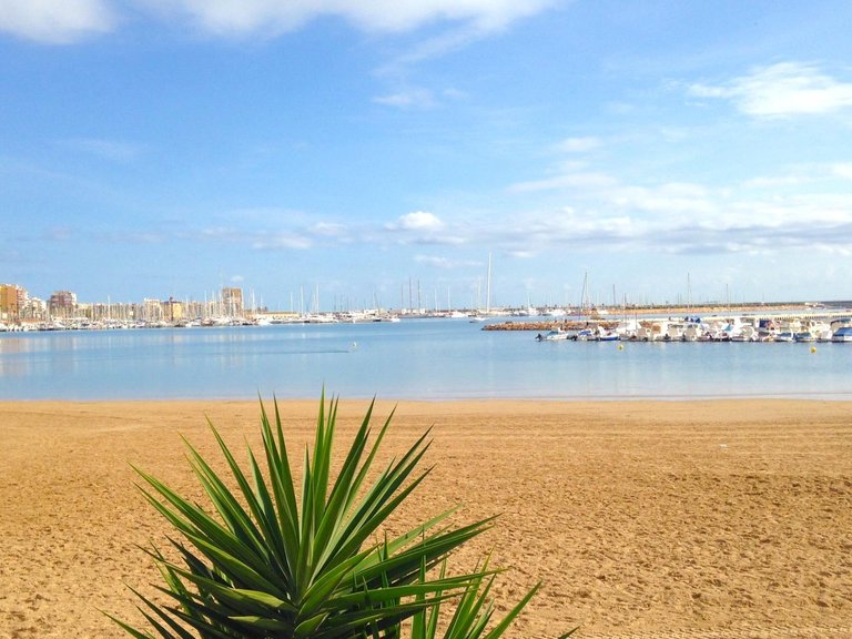 Apartment for Sale in Costa Blanca Torrevieja, Alicante 18