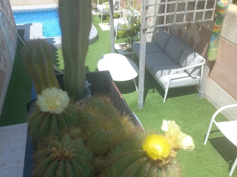 Town House for Sale in Costa Blanca Orihuela Costa, Alicante 18