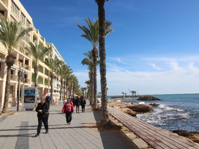 Commercial for Sale in Costa Blanca Torrevieja, Alicante 10