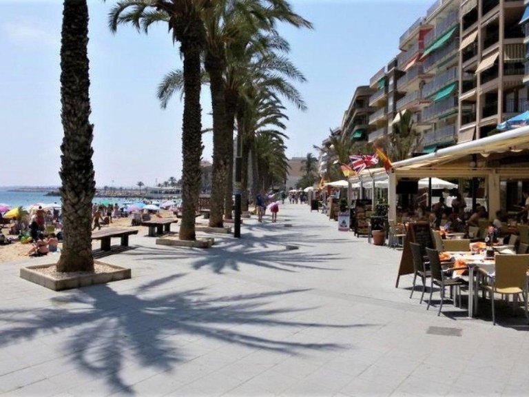 Commercial for Sale in Costa Blanca Torrevieja, Alicante 6