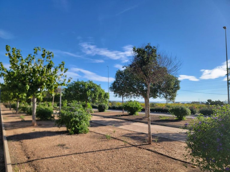 Town House for Sale in Los Montesinos, Alicante 45
