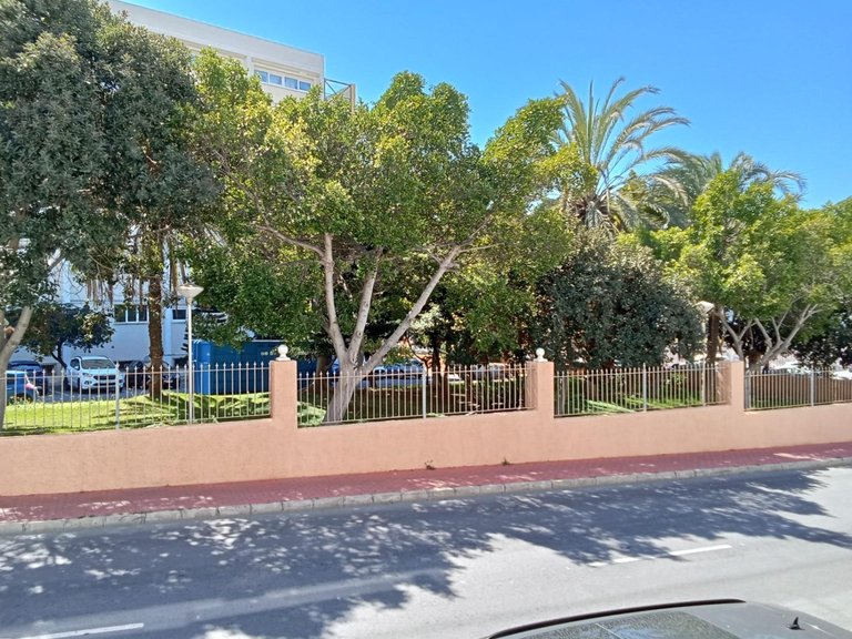 Apartment for Sale in Torrevieja, Alicante 35