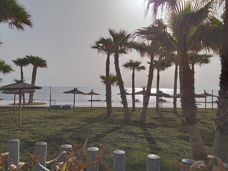 Apartment for Sale in Costa Blanca Torrevieja, Alicante 39