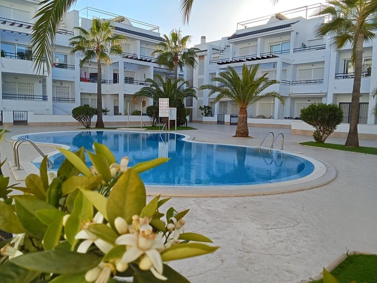 Penthouse for Sale in Costa Blanca Torrevieja, Alicante 42
