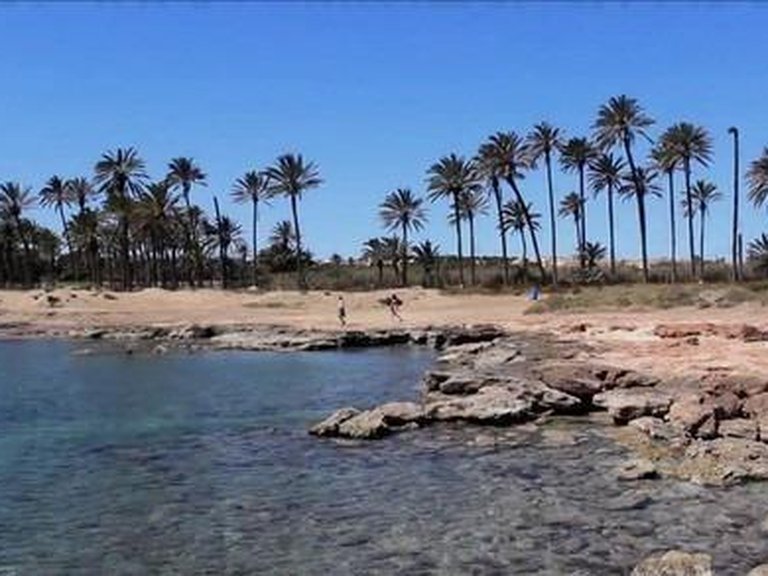 Penthouse for Sale in Costa Blanca Torrevieja, Alicante 50