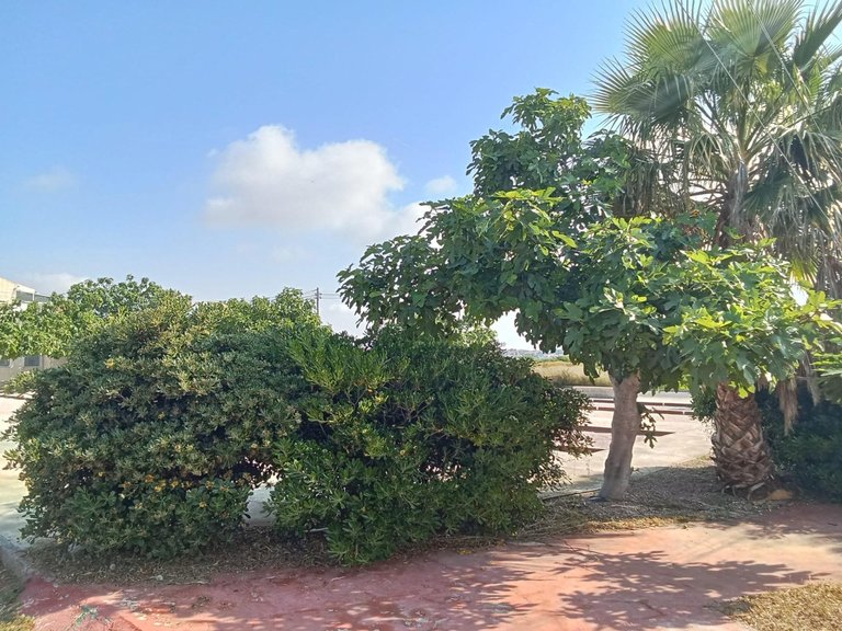 Villa for Sale in Torrevieja, Alicante 39