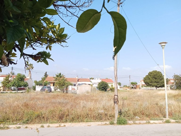 Villa for Sale in Torrevieja, Alicante 40
