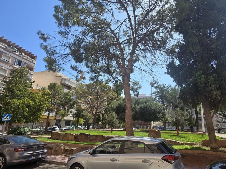 Apartment for Sale in Torrevieja, Alicante 28