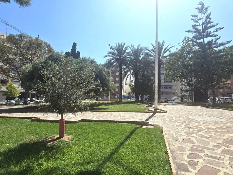 Apartment for Sale in Torrevieja, Alicante 29