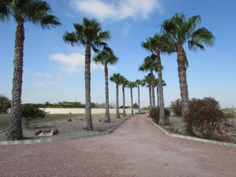 Country House for Sale in Costa Blanca Dolores, Alicante 32