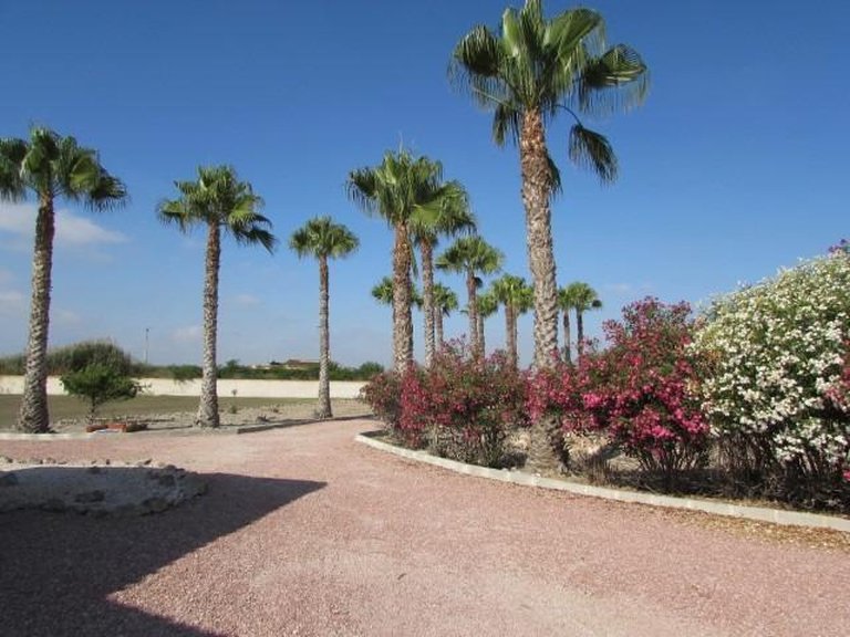 Country House for Sale in Costa Blanca Dolores, Alicante 33