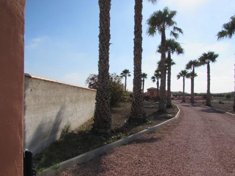 Country House for Sale in Costa Blanca Dolores, Alicante 35
