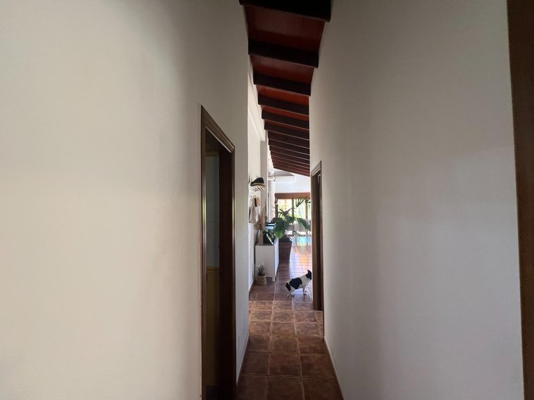 Country House for Sale in Costa Blanca Dolores, Alicante 18