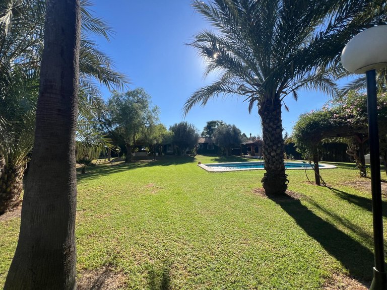 Country House for Sale in Costa Blanca Dolores, Alicante 21